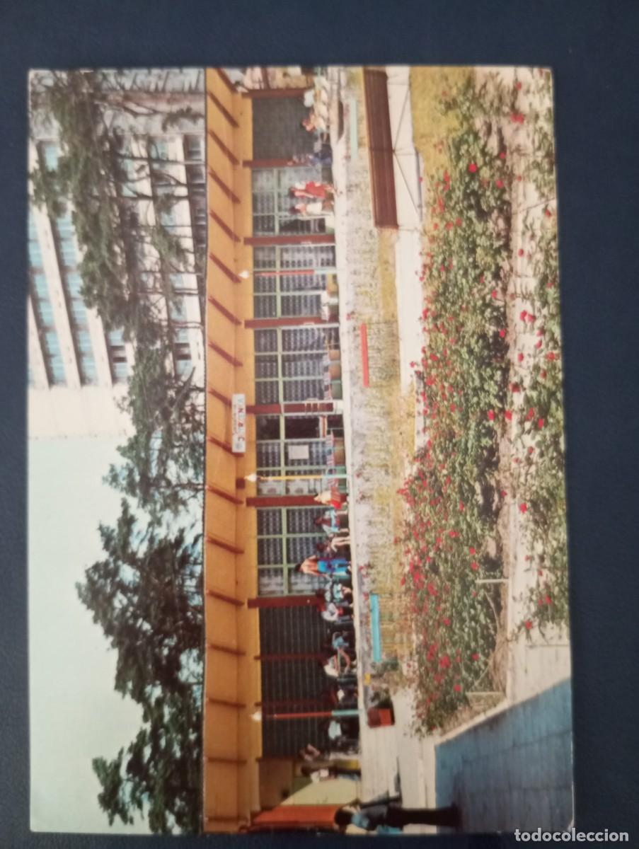 Postales: POSTAL POLACA, MIEDZYZDROJE, 1986
