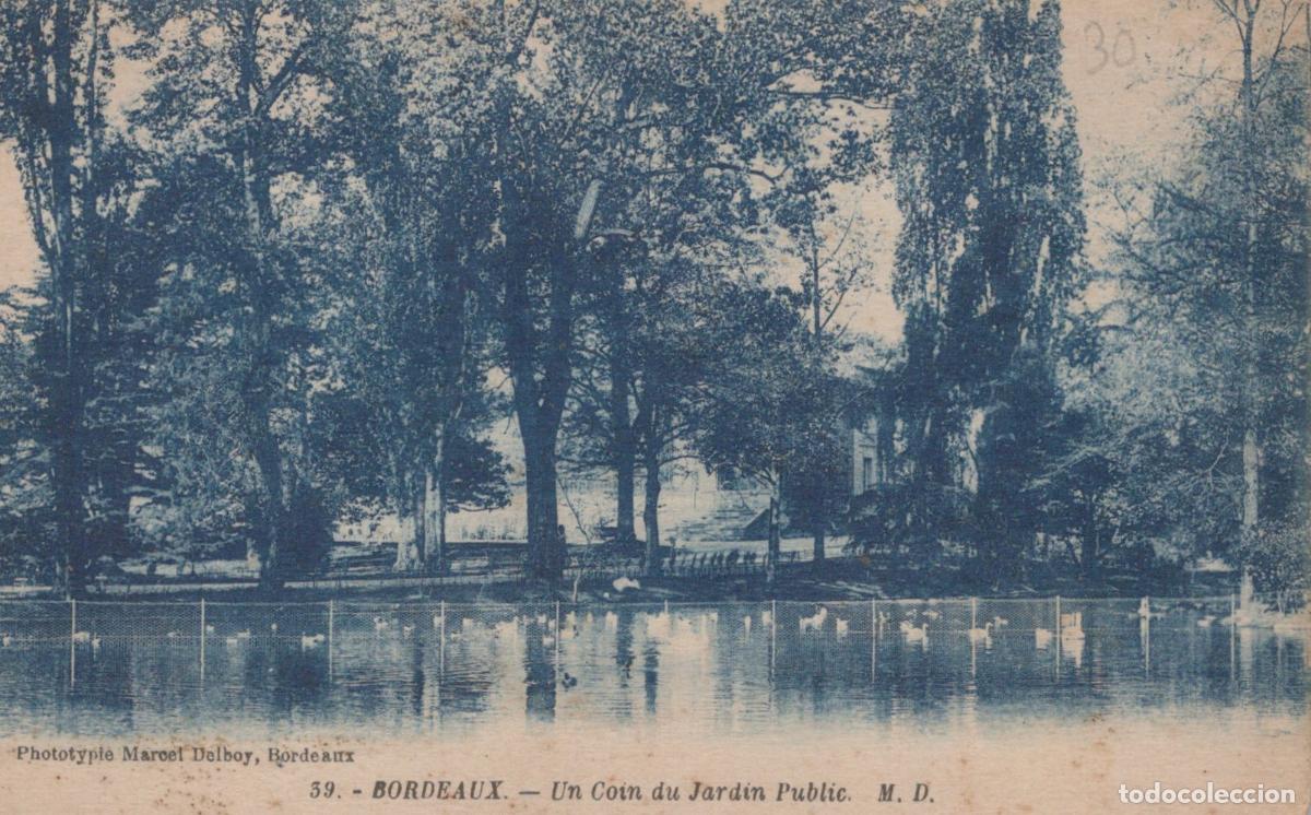 Cartes Postales: France Bordeaux Jardin Public Cygnes Refl&eacute;t&eacute;s *YAD070