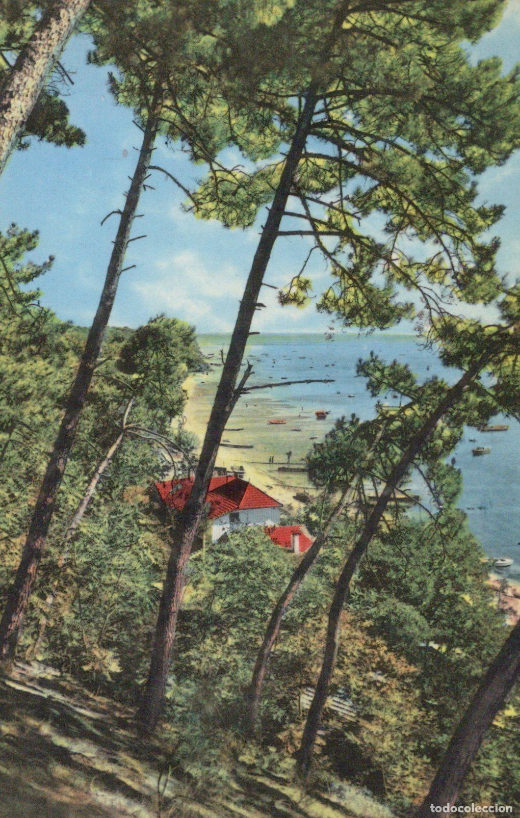 Postcards: France Arcachon Bassin D Pins Plage Bateaux *YAD224