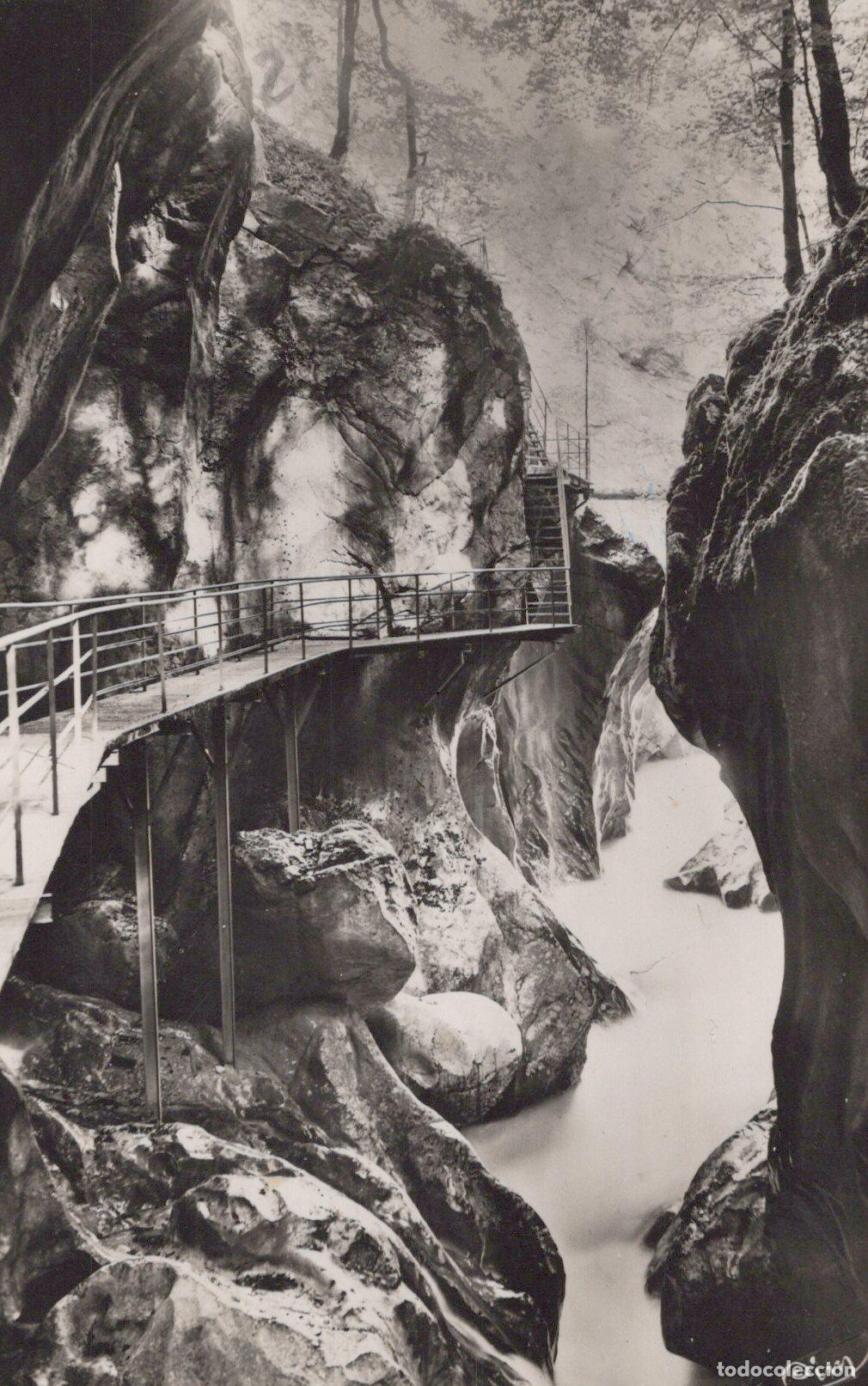 Cartoline: France Le Jotty Gorges du Pont du Diable Paysage Real Photo *YAD231