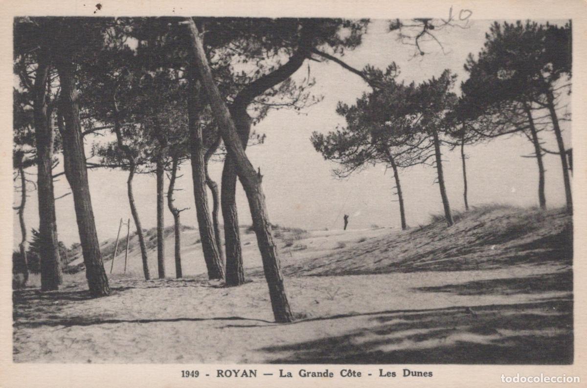 Postales: France Royan La Grande C&ocirc;te Dunes Avec Pins Unposted *YAD409