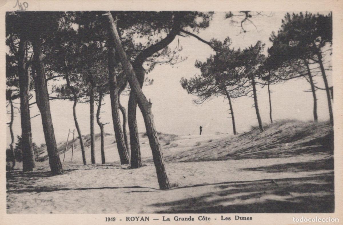 Postales: France Royan Paysage Dunes la Grande C&ocirc;te Unposted *YAD444
