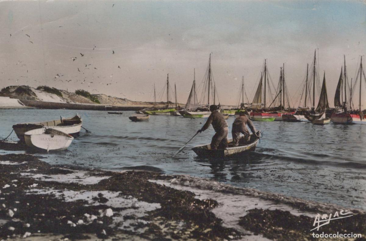 Cartoline: France Ile D Ol&eacute;ron Port de la Cotini&egrave;re P&ecirc;cheurs Voiliers *YAD584