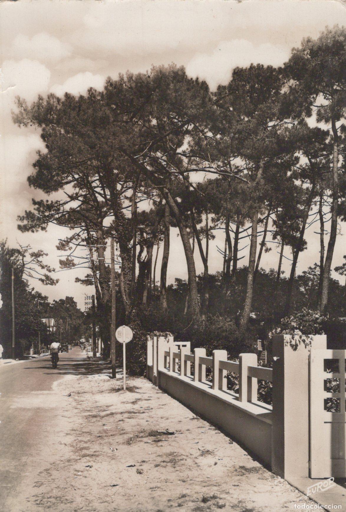 Cartoline: France Ronce les Bains Avenue Gabrielle Pins Unposted *YAD634