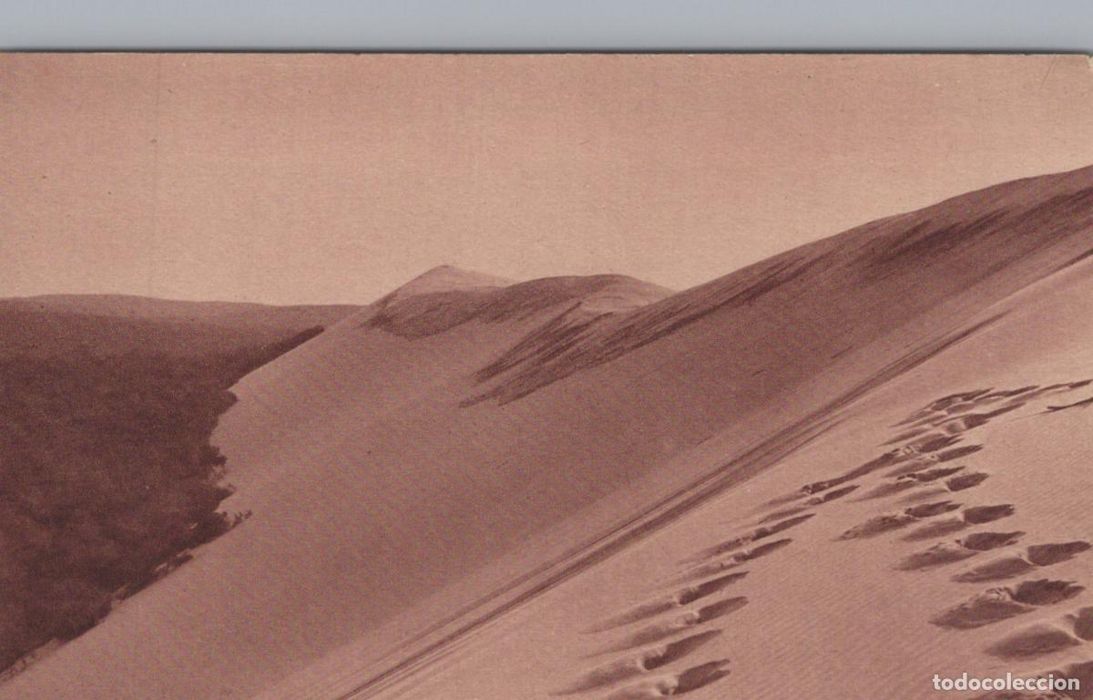 Postcards: France Le Pyla sur Mer Dunes du Pyla Paysage C&ocirc;tier Oblit&eacute;r&eacute; Unposted *YAD606
