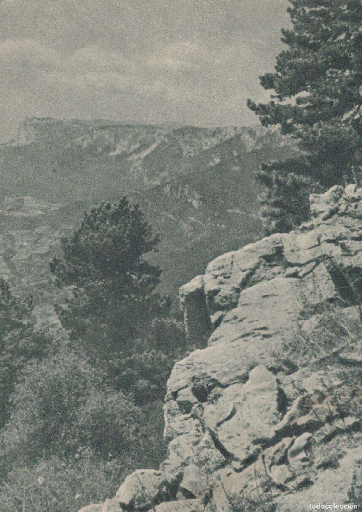 Postcards: Ukraine Mountain Landscape Forest Rocks Vintage Soviet Unposted *YAD616