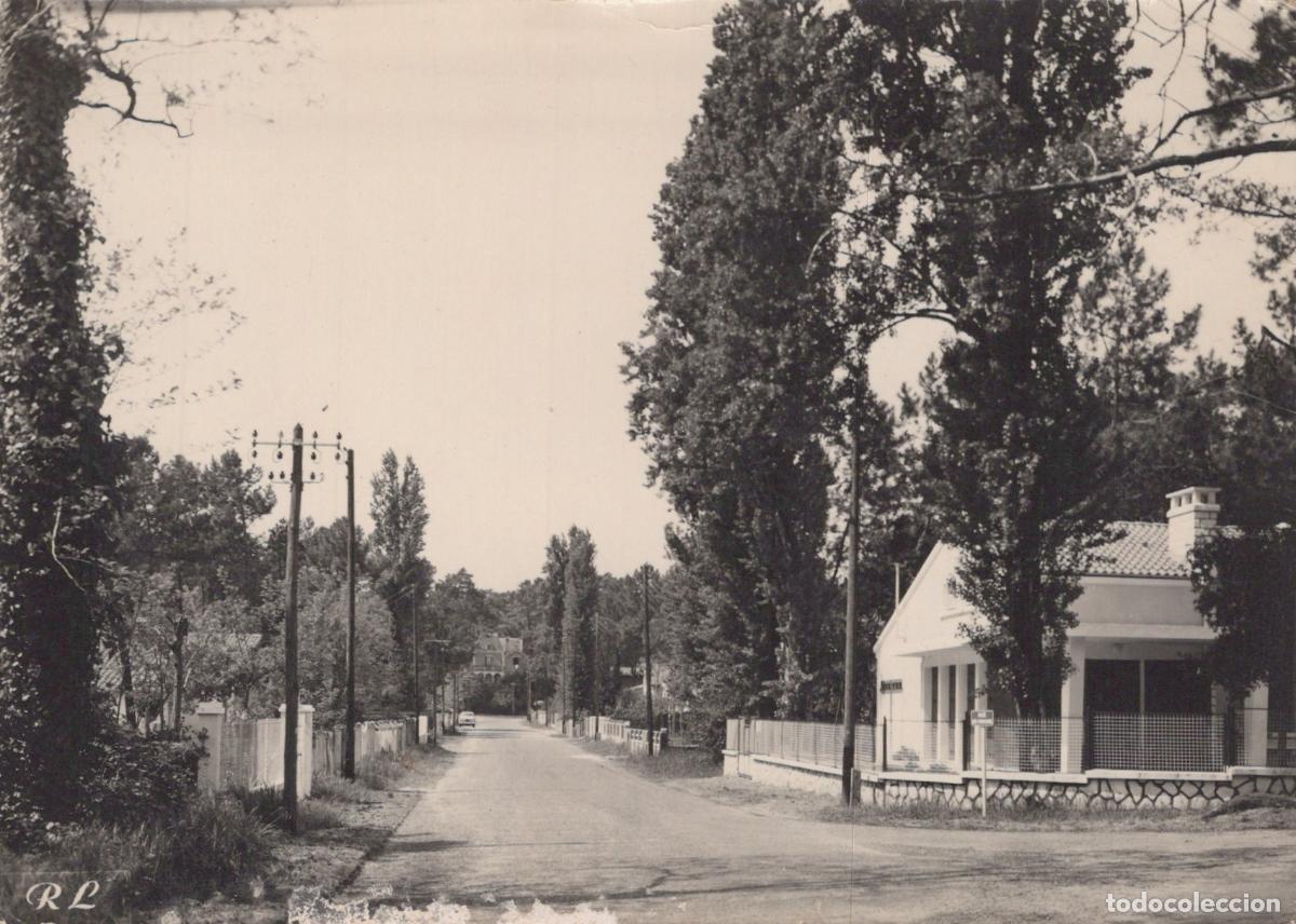 Postcards: France Ronce les Bains All&eacute;e des Peupliers Rue Bord&eacute;e D Arbres Unposted *YAD700
