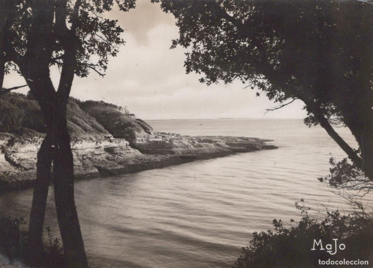 Postales: France Royan La Conche du Conseil Paysage Post&eacute;e *YAD801