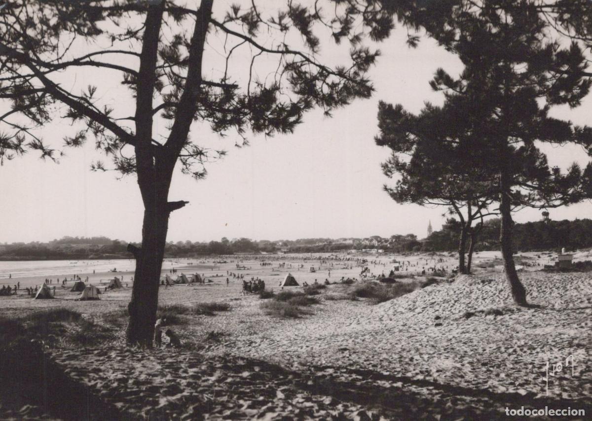 Postales: France Saint Georges de Didonne Plage Anim&eacute;e *YAD747