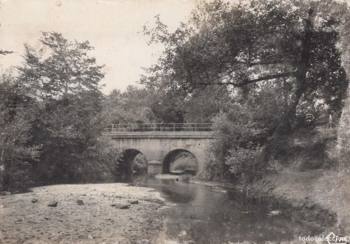 Postales: France Laruscade Le Pont Aux Pins Paysage Rural Real Photo Unposted *YAD767