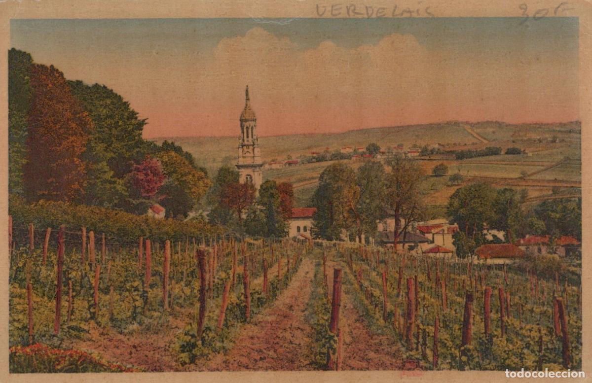 Postais: France Verdelais Vue G&eacute;n&eacute;rale Vignoble et &Eacute;glise *YAD961