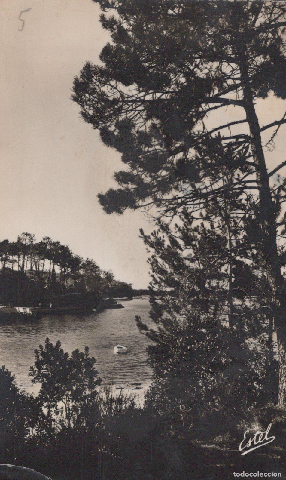 Postkarten: France Hossegor Lac Pin&egrave;de Bateau Paysage C&ocirc;tier Real Photo *YAD091