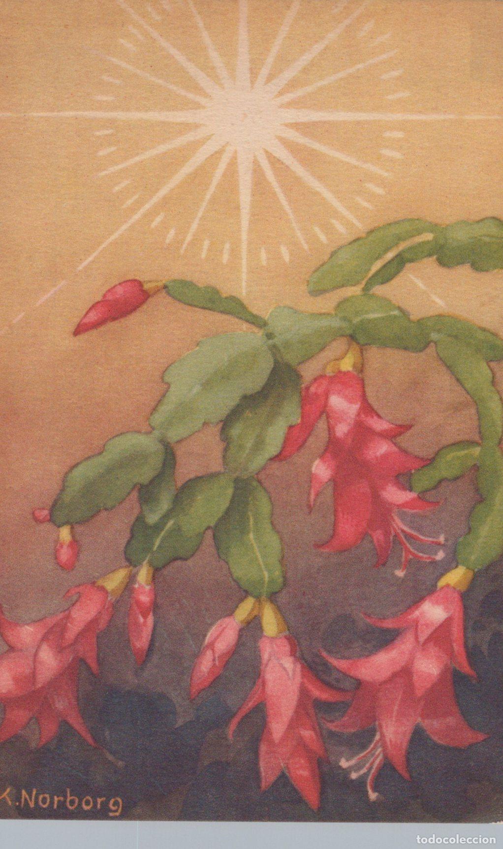 Postcards: Sweden G&ouml;teborg Sverige Julkaktus Blommor Illustration Julfirande *YAD253