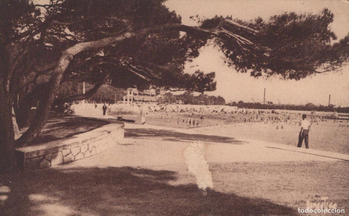 Postcards: France La Rochelle Plage Anim&eacute;e Grand Arbre Architecture *YAD393