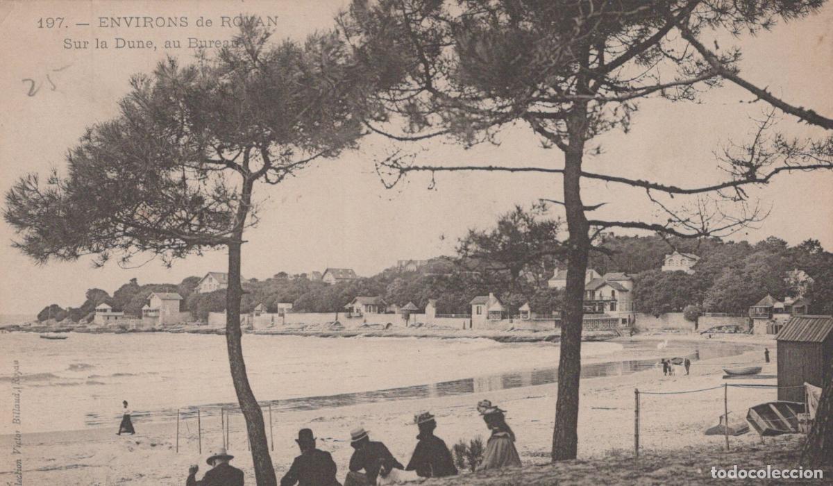 Postcards: France Royan Nouvelle Aquitaine Plage sur la Dune Pins Unposted *YAD428