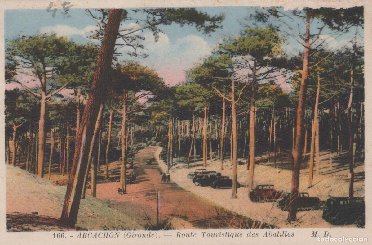 Postkarten: France Arcachon Route Touristique For&ecirc;t Pins Voitures *YAD567