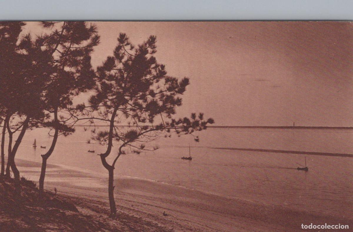 Postkarten: France Le Moulleau Paysage C&ocirc;tier Plage Pins Bateaux Unposted *YAD607