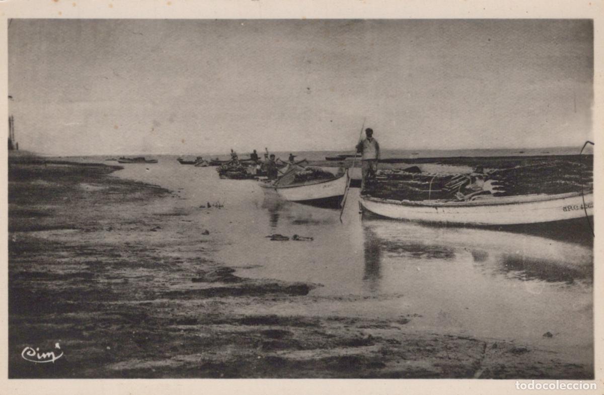 Postales: France Gujan Mestras Port de Larros P&ecirc;cheurs et Barques *YAD573