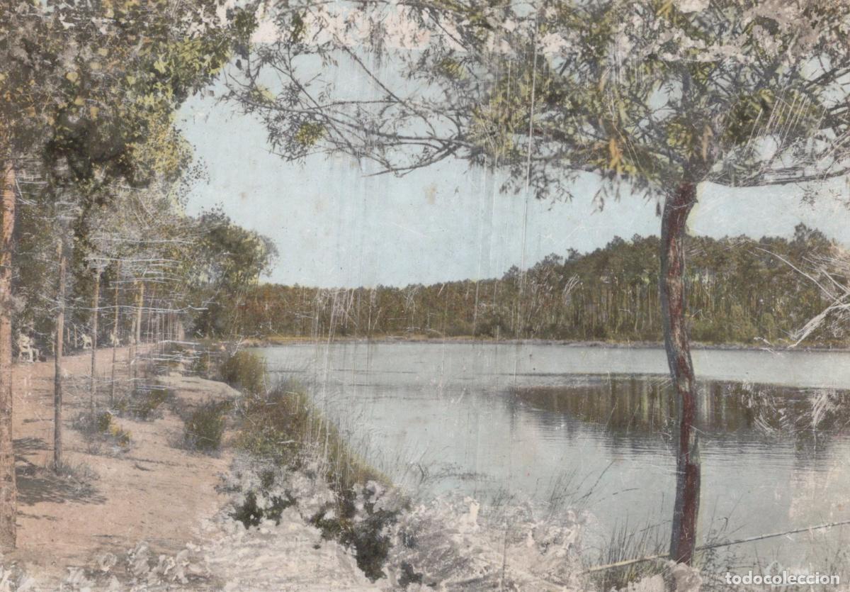 Cartes Postales: France Montendre les Pins Lac Baron Desqueyroux Paysage Real Photo *YAD758