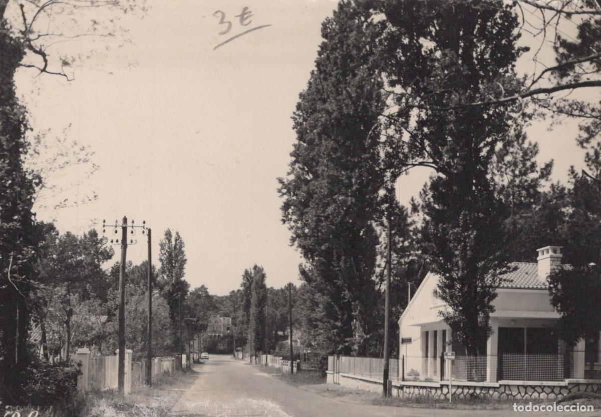 Postcards: France Ronce les Bains All&eacute;e des Peupliers Paysage Un Unposted *YAD703
