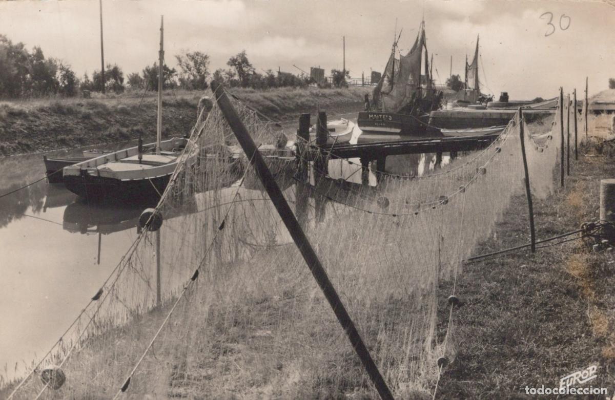 Cartoline: France Meschers S Gironde Port Filets &Agrave; Esturgeons *YAD868