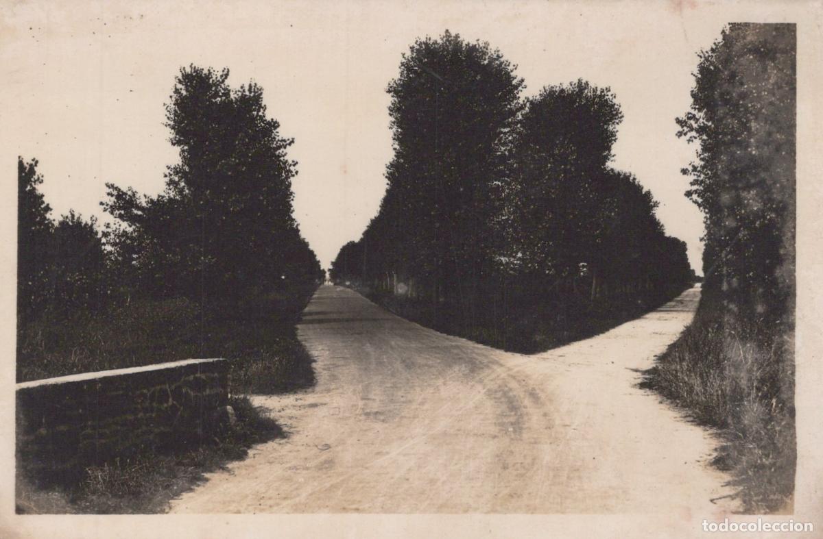 Cartoline: France Hauteville sur Mer Allees allant a la Plage *YAD888