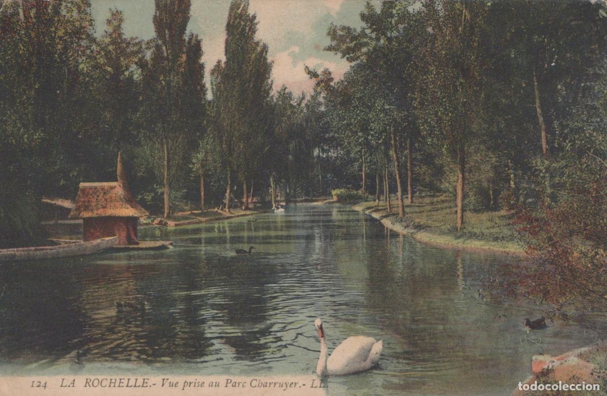Cartoline: France La Rochelle Parc Charruyer Paysage &Eacute;tang Cygnes *YAD923