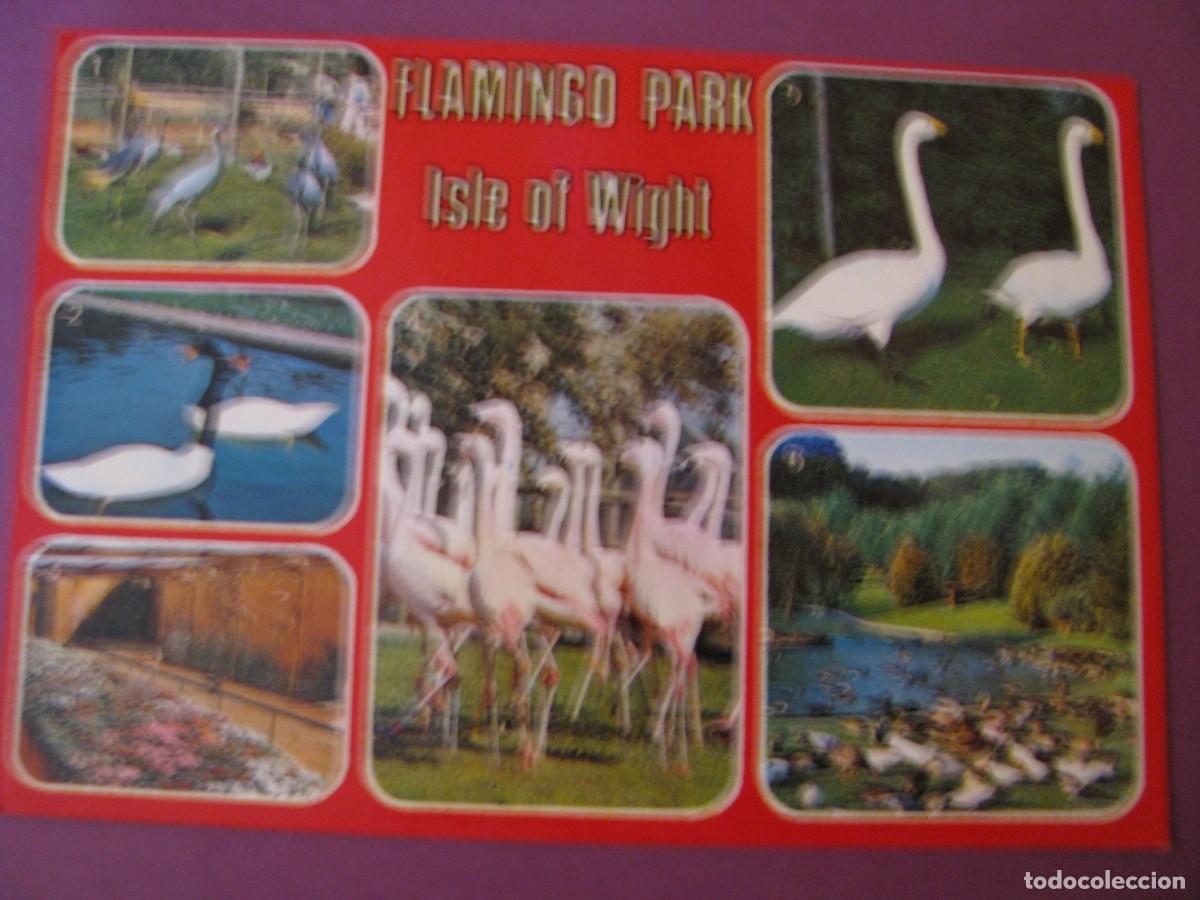 Postales: POSTAL DE FLAMINGO PARK. ISLE OF WIGHT. IMPRESO EN ESPA&Ntilde;A.