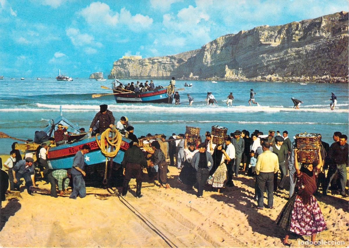 Postales: Postal de Nazar&eacute;, Portugal: Regreso de la pesca y descarga de pescado