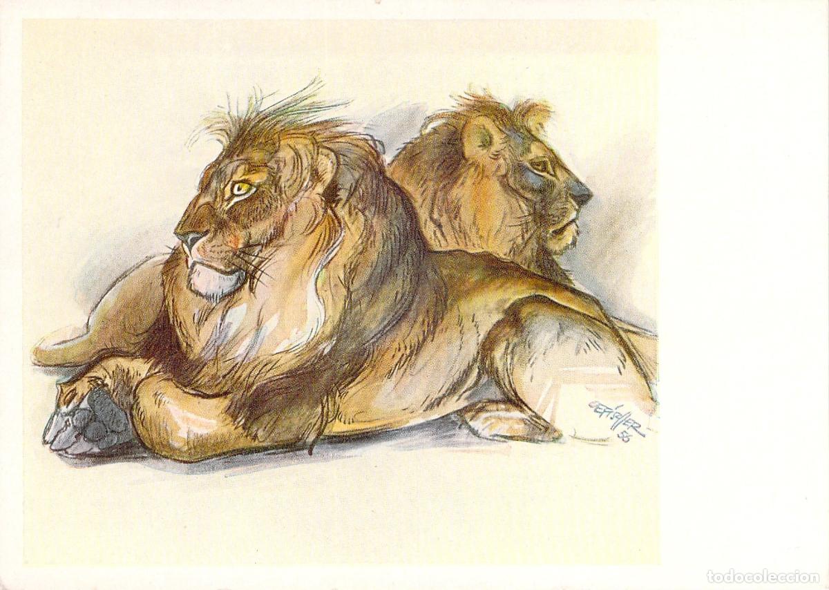 Postales: Postal de Arte: Ilustraci&oacute;n de Leones por Cefischer