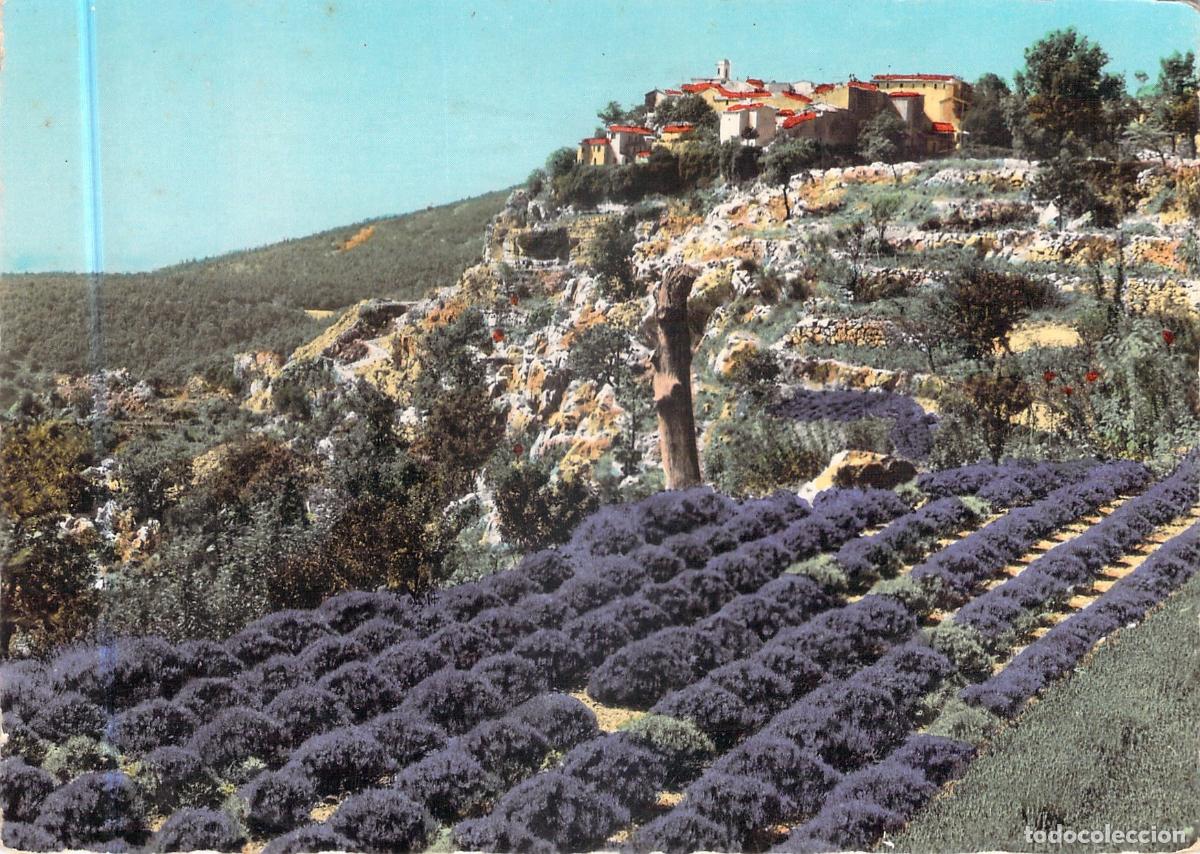 Postales: Postal de Gourdon Alpes-Maritimes Francia Campo de Lavanda