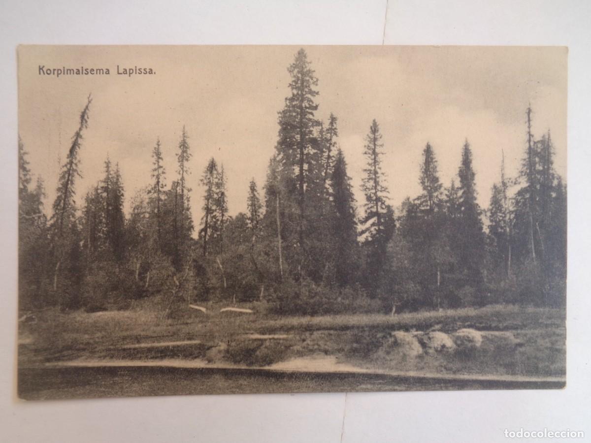 Postales: POSTAL DE LAPONIA ( FINLANDIA ). PRINCIPIOS DE SIGLO