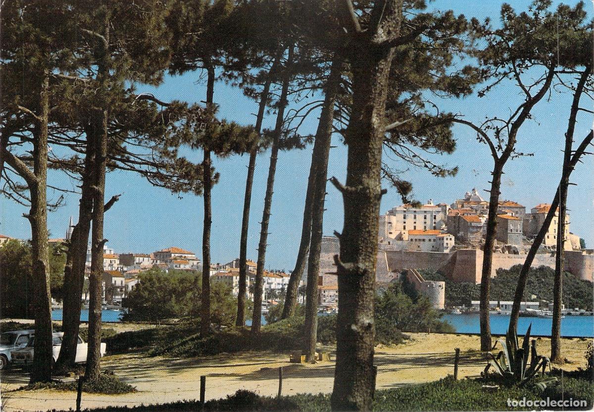 Postais: Postal de Calvi y su pinar en C&oacute;rcega, Francia