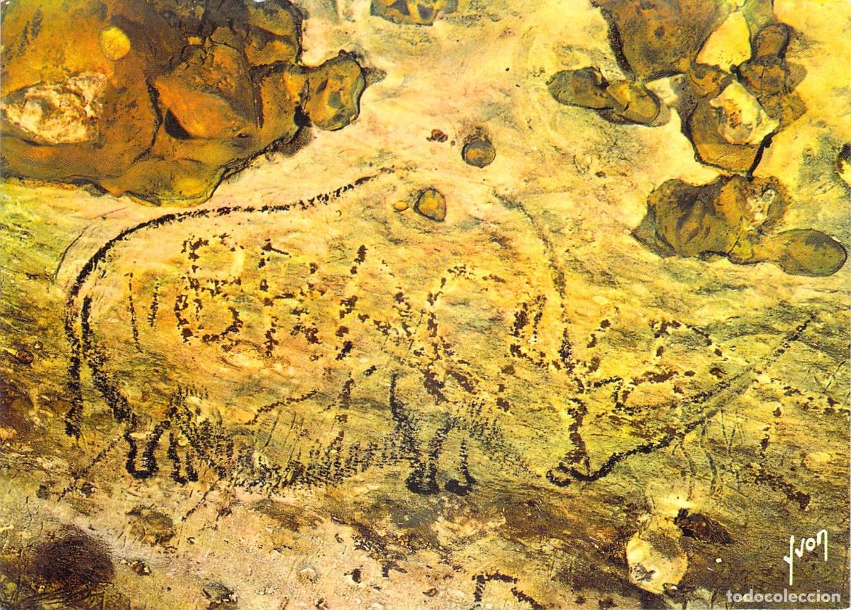 Postales: Postal de la Grotte de Rouffignac con Pintura Rupestre de Rinoceronte