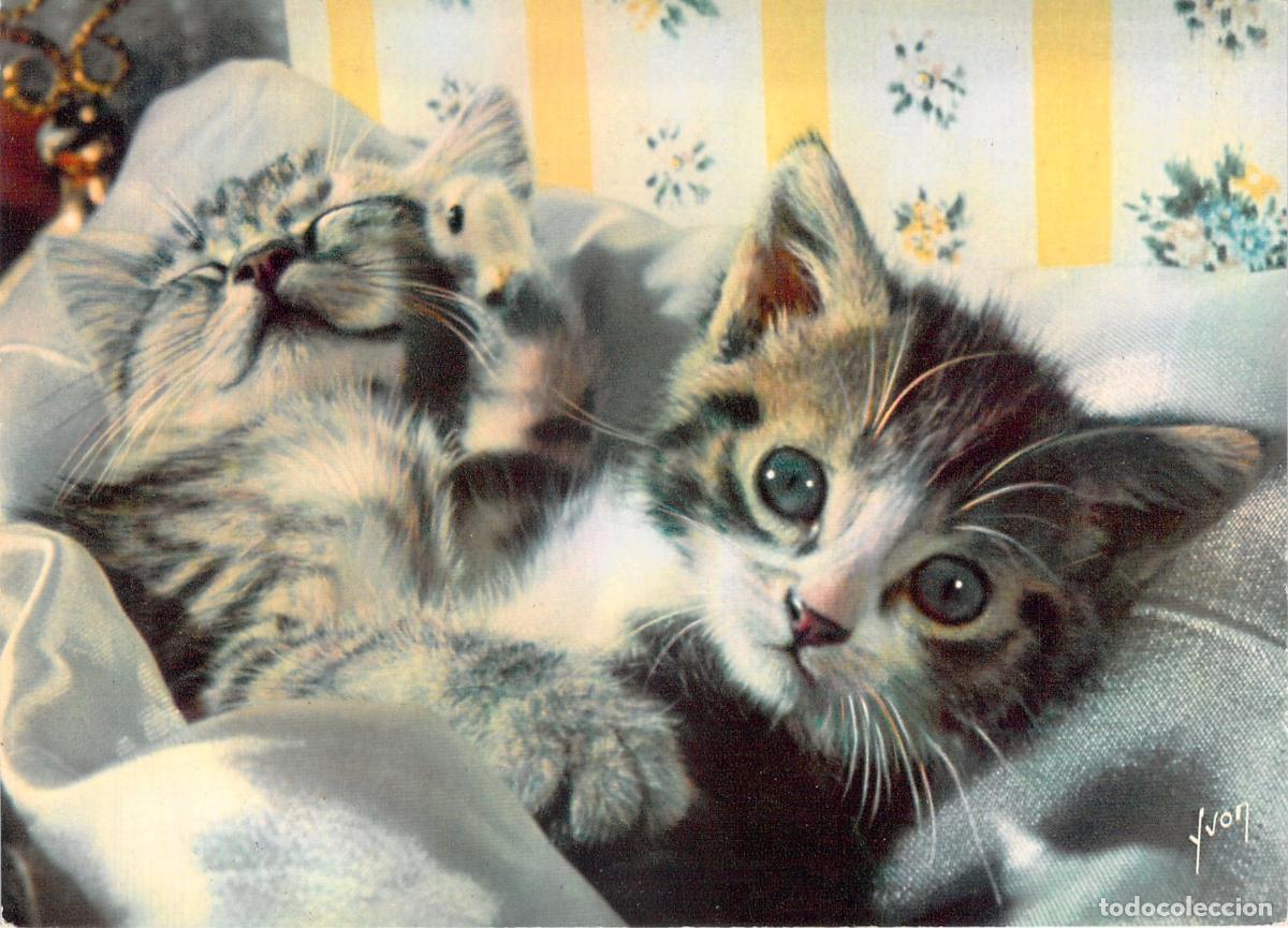 Postais: Postal de gatitos tiernos de Jean Tourane