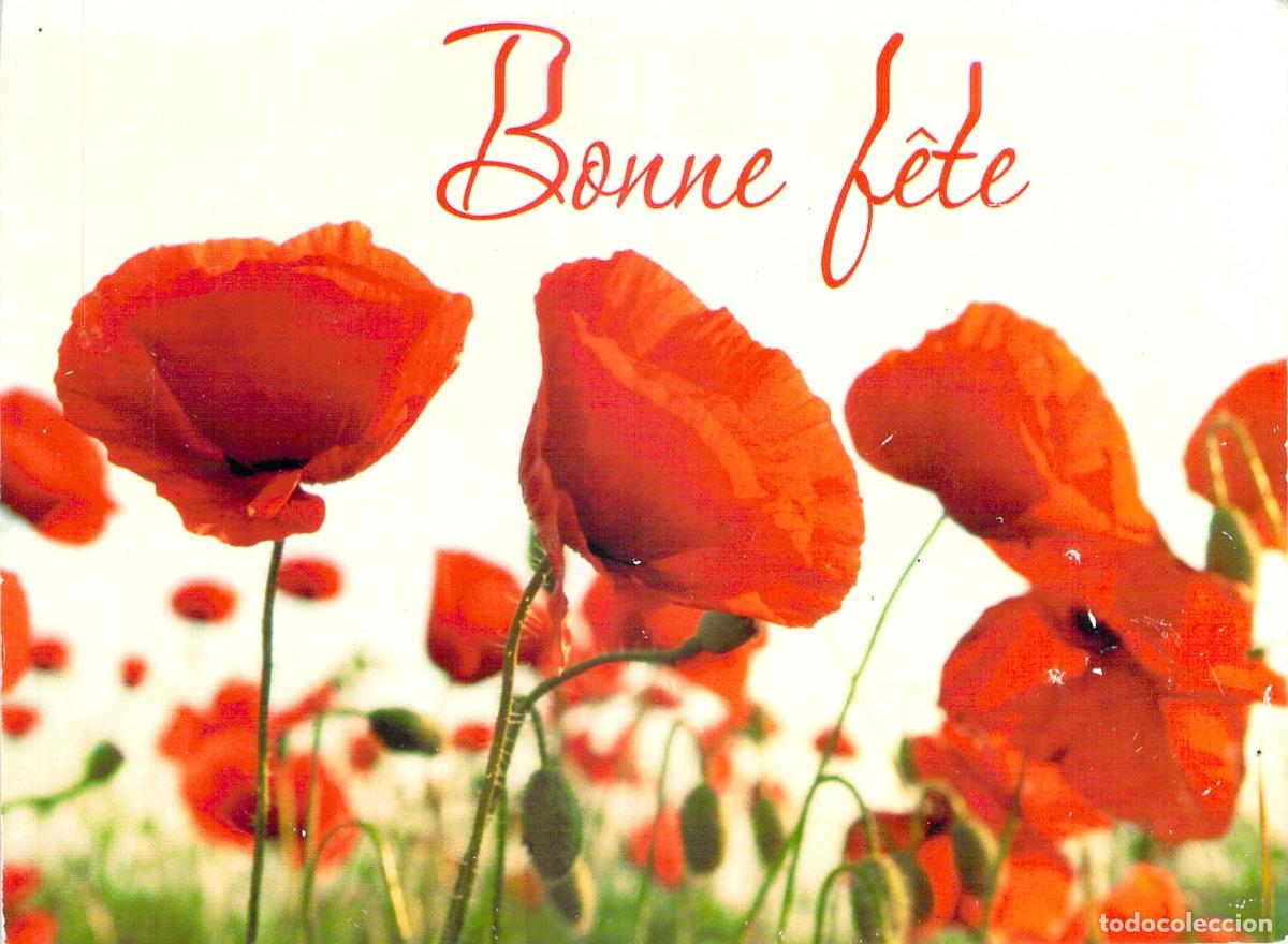 Postais: Postal de felicitaci&oacute;n con flores amapolas