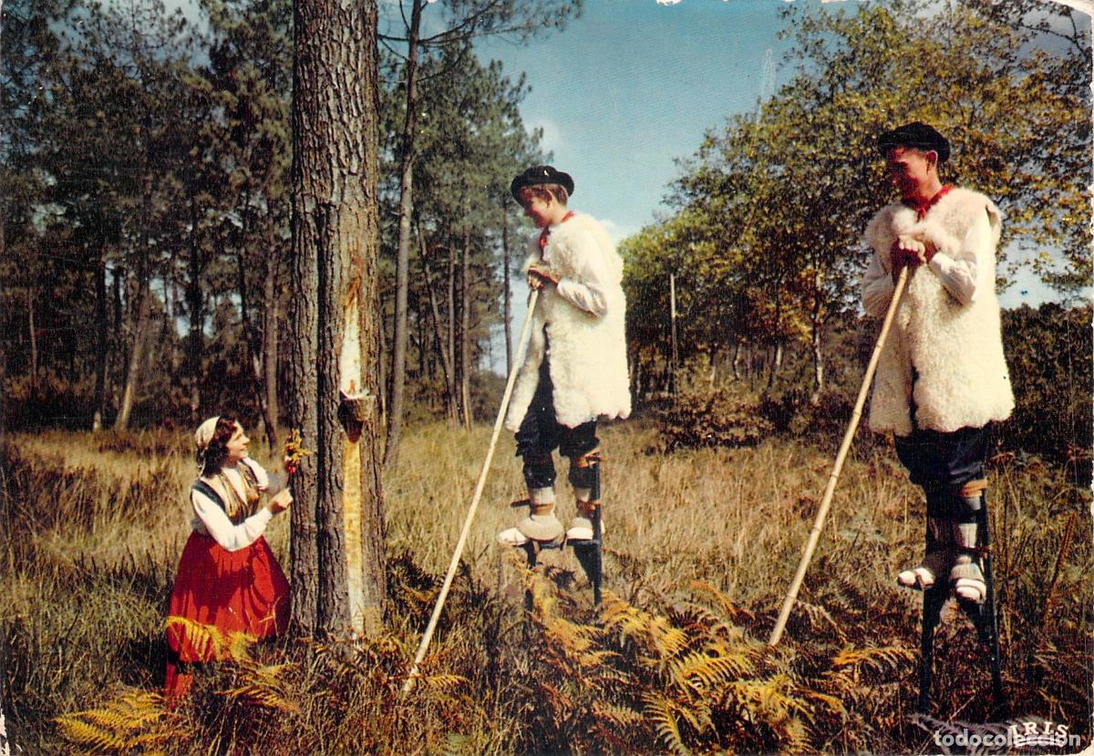 Postais: Postal de los zancudos de Landes Francia