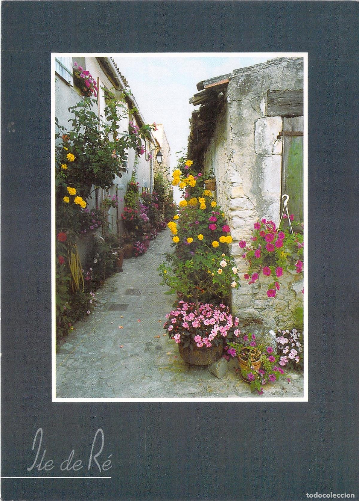 Postales: Postal de callej&oacute;n t&iacute;pico con flores en Ile de Re, Francia