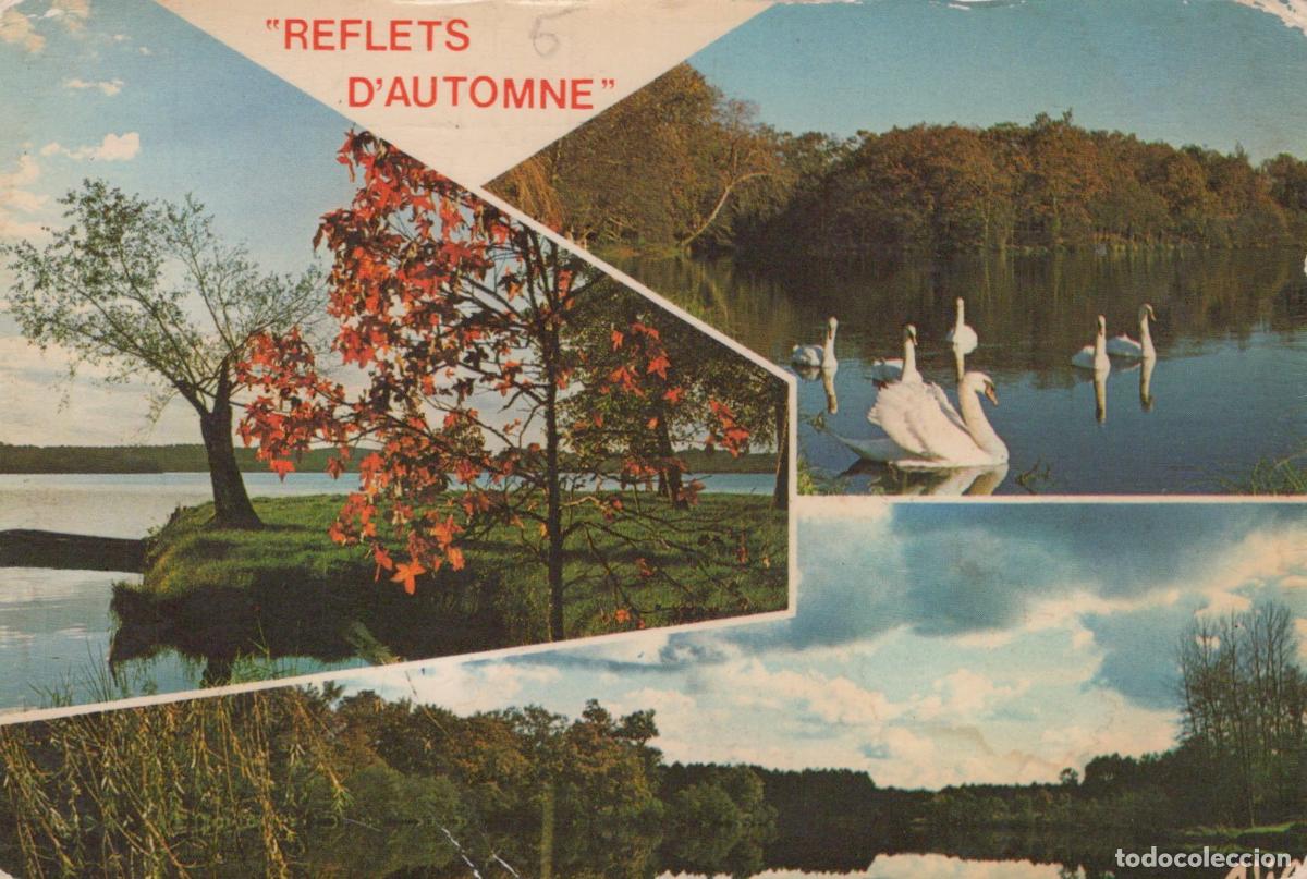 Postkarten: France Landes Reflets d Automne Paysage *YAE064