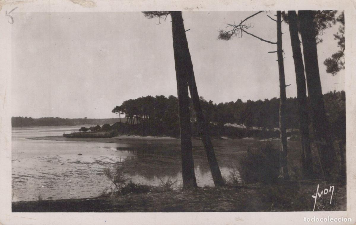 Postkarten: France Hossegor Le Bout du Lac Paysage Avec Pins Maritimes *YAE073