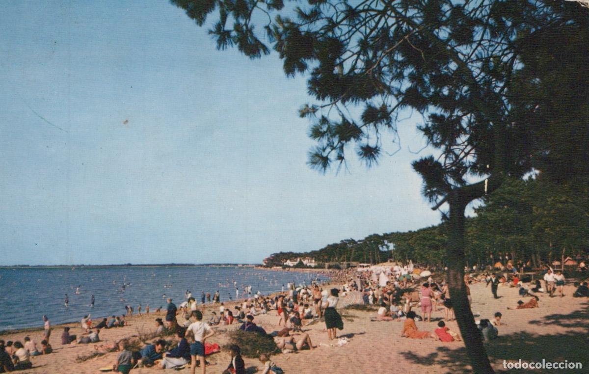 Cartoline: France Ronce les Bains Plage Baigneurs Pin&egrave;de *YAE097