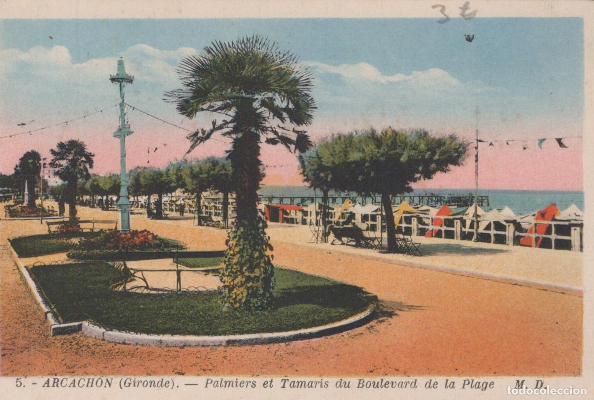 Cartoline: France Arcachon Palmiers et Tamaris Boulevard de la Plage *YAE174