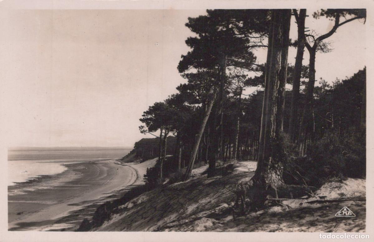 Postcards: France Arcachon Plage des Abatilles For&ecirc;t de Pins Paysage *YAE188