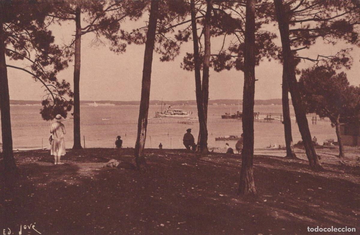 Postcards: France Cap Ferret Bassin D Arcachon Pins Personnes Bateaux Unposted *YAE193
