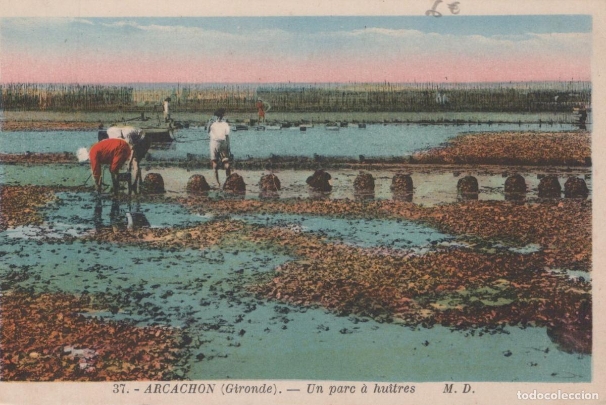 Cartes Postales: France Arcachon Parc &Agrave; Hu&icirc;tres Ouvriers Culture Marine Unposted *YAE160