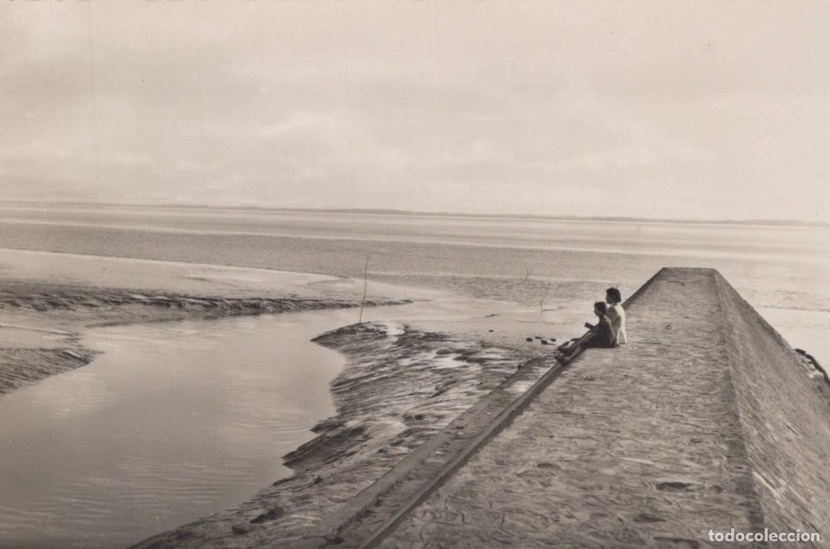Cartes Postales: France Saint Bonnet sur Gironde Vue sur la Gironde *YAE269