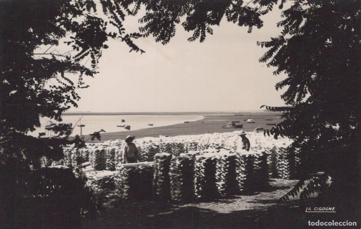 Cartes Postales: France Caillouey Bassin d Arcachon Pecheurs *YAE186
