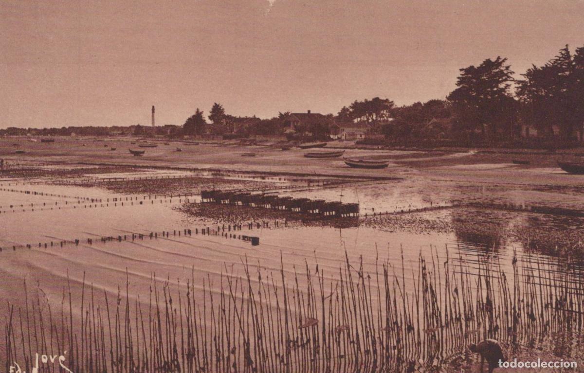 Postkarten: France Cap Ferret Bassin d Arcachon Parcs a Huitres *YAE196