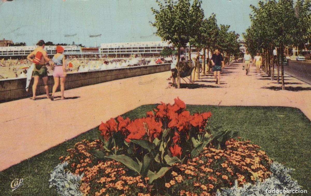 Postkarten: France Royan Charente les Parterres Boulevard Garnier Promenade *YAE220