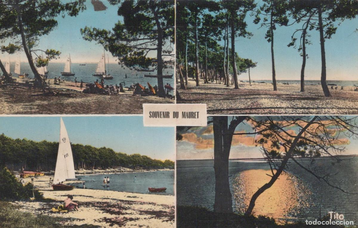 Postkarten: France Andernos les Bains Plage du Mauret Pins Voiliers *YAE355